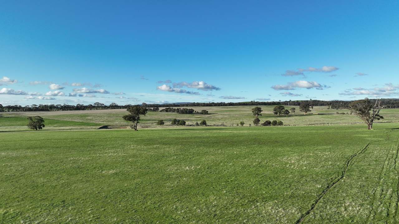4114 Ararat-St Arnaud Road, Paradise For Sale by Farmbuy.com - image 9