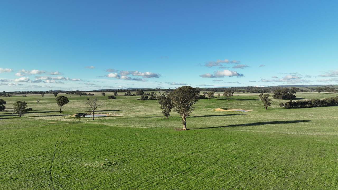 4114 Ararat-St Arnaud Road, Paradise For Sale by Farmbuy.com - image 8