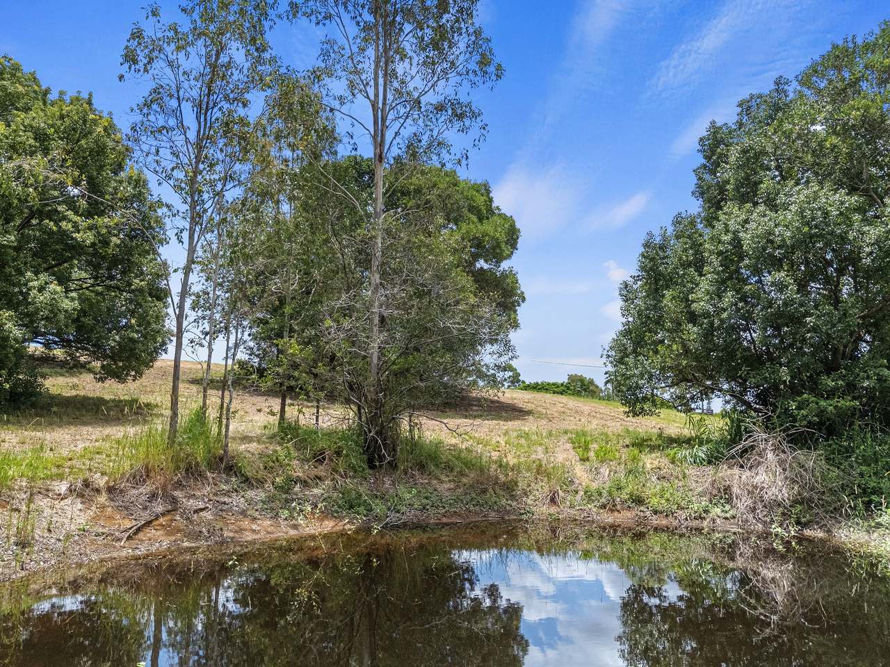 Lot 1, 0 Robert Road, Chatsworth For Sale by Farmbuy.com - image 9