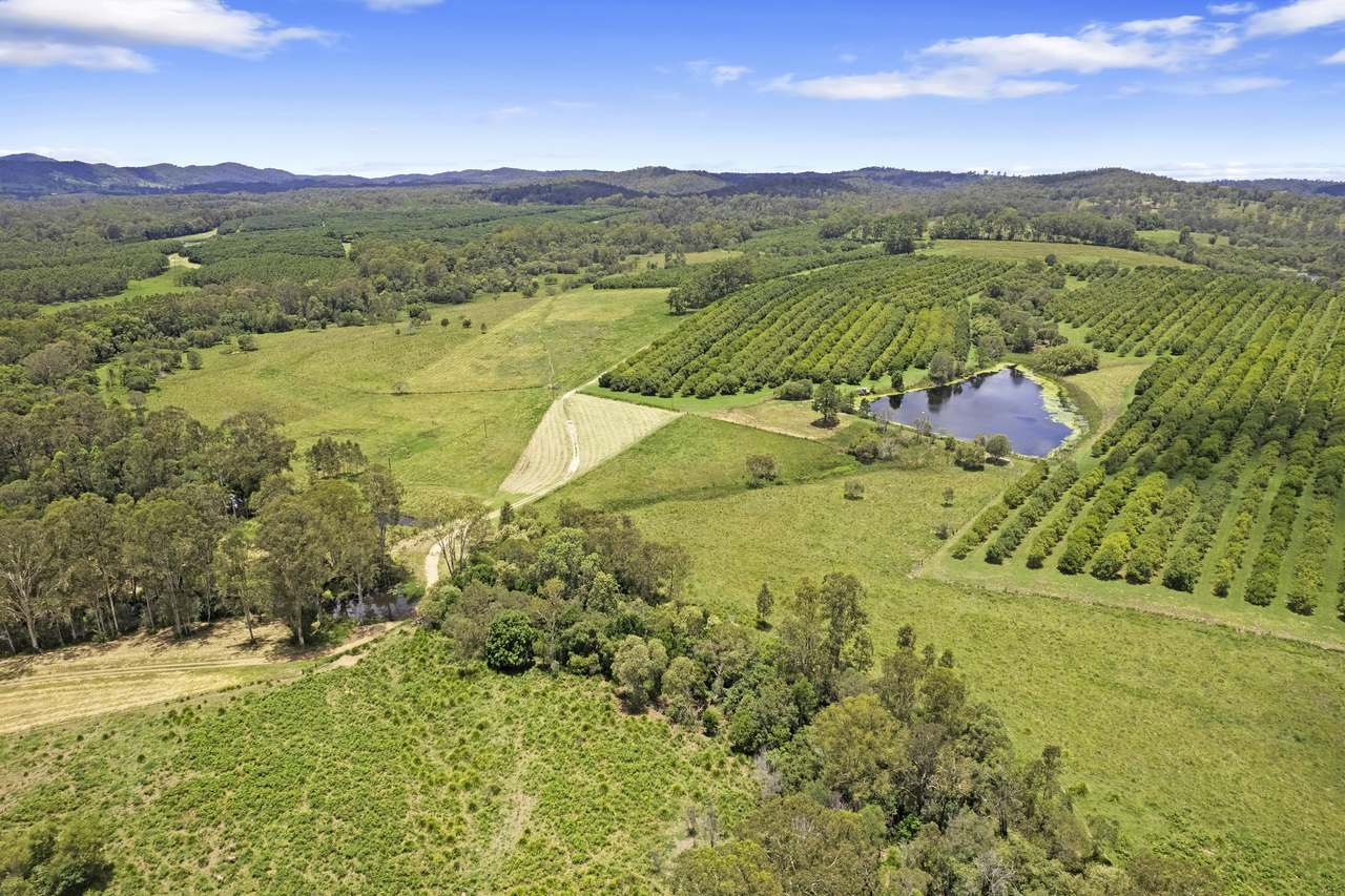 1460 - 1522 Anderleigh Road, Anderleigh For Sale by Farmbuy.com - image 10