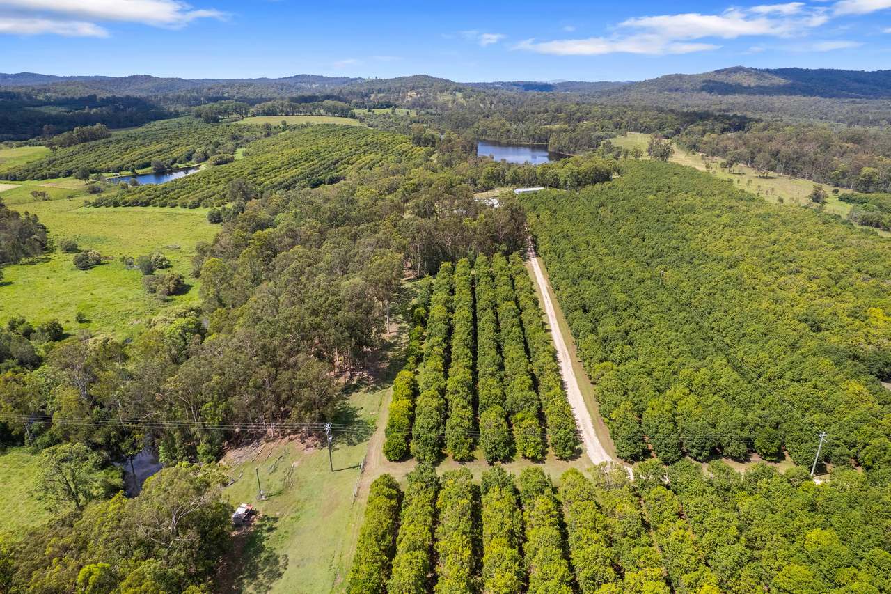 1460 - 1522 Anderleigh Road, Anderleigh For Sale by Farmbuy.com - image 9