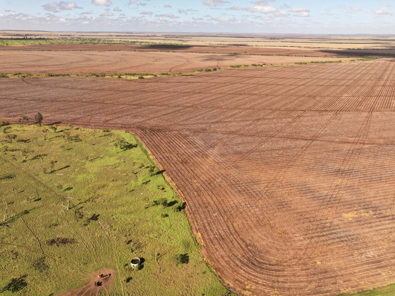 Clermont Auction by Farmbuy.com - image 5