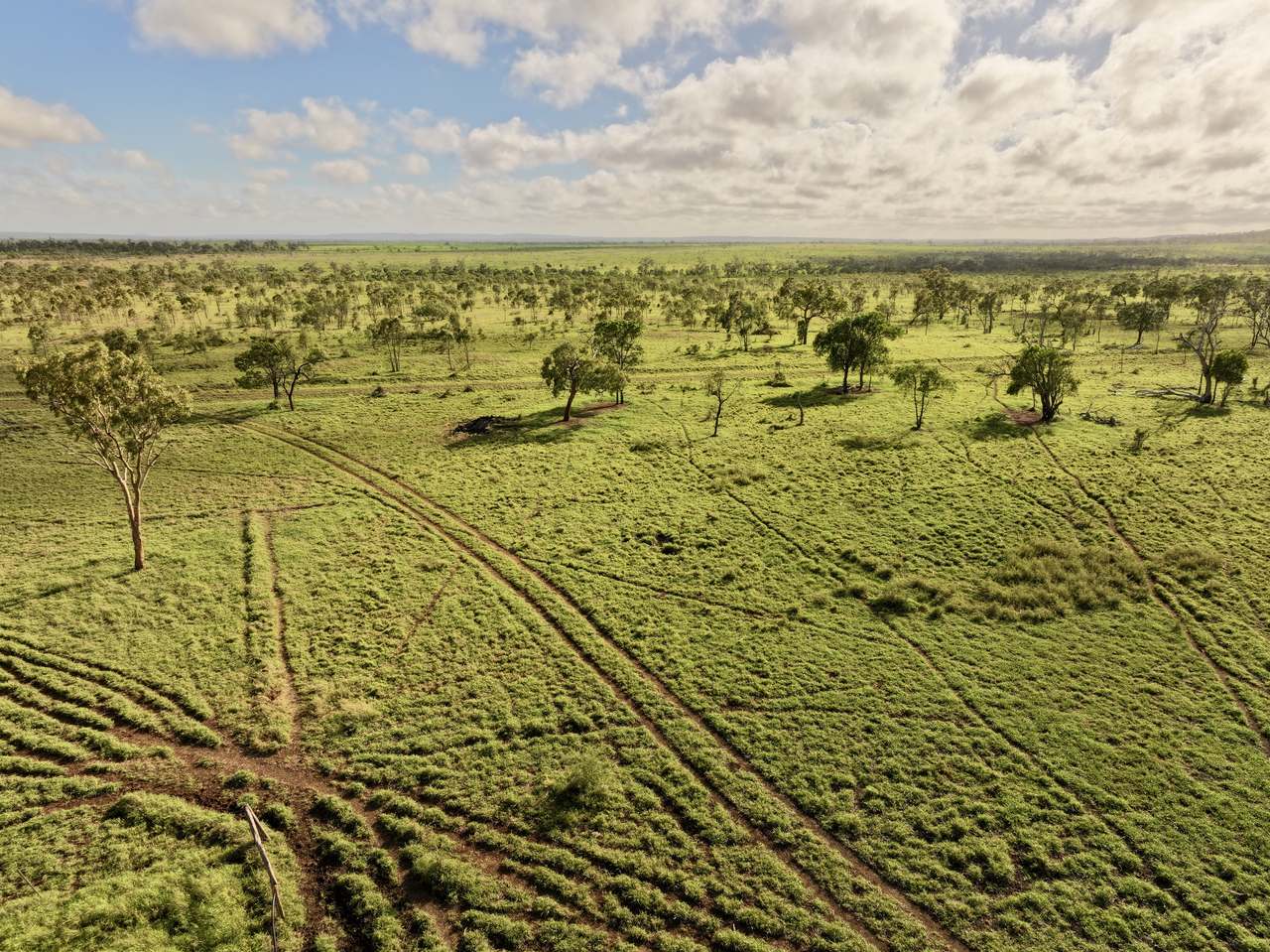 Clermont Auction by Farmbuy.com - image 8