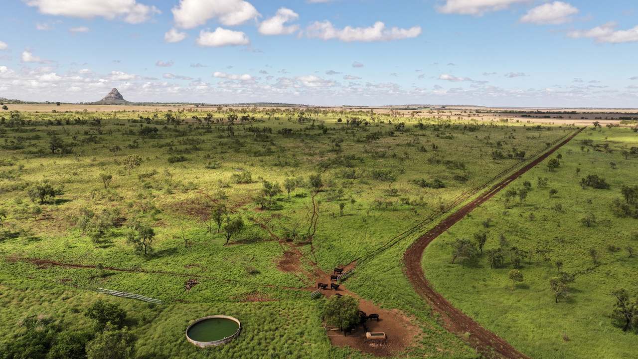 Clermont Auction by Farmbuy.com - image 9