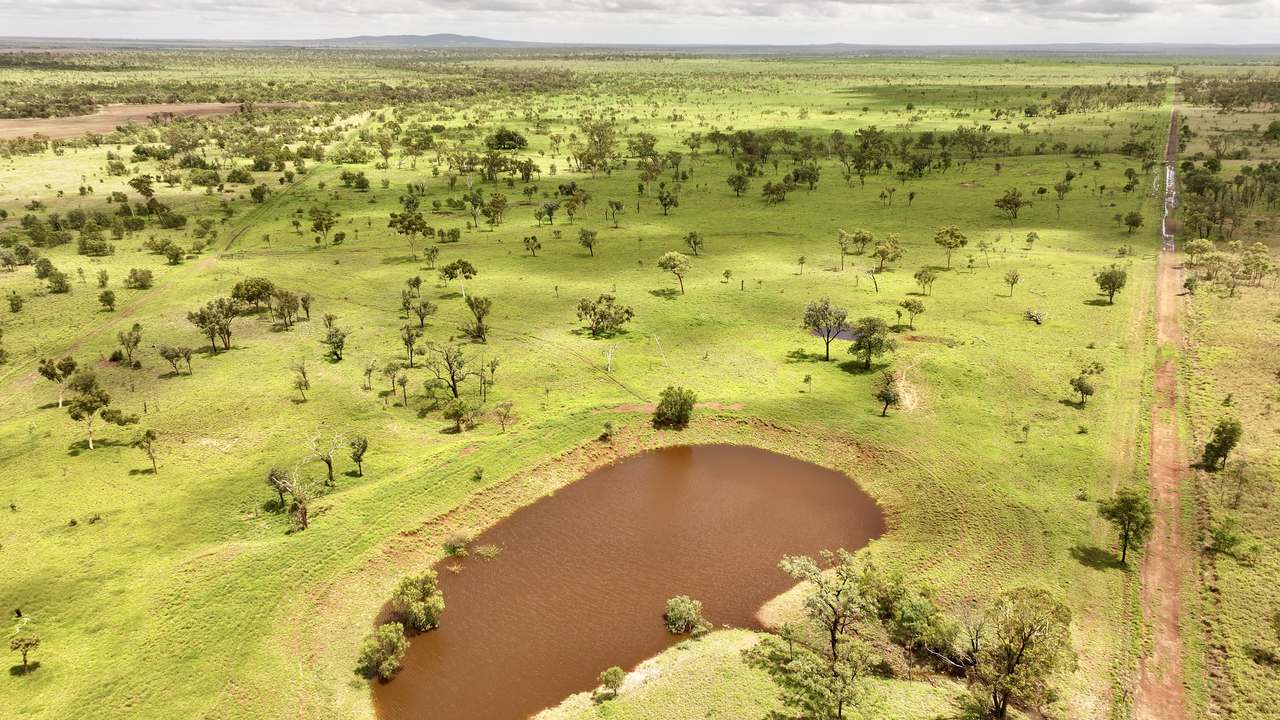 Clermont Auction by Farmbuy.com - image 3