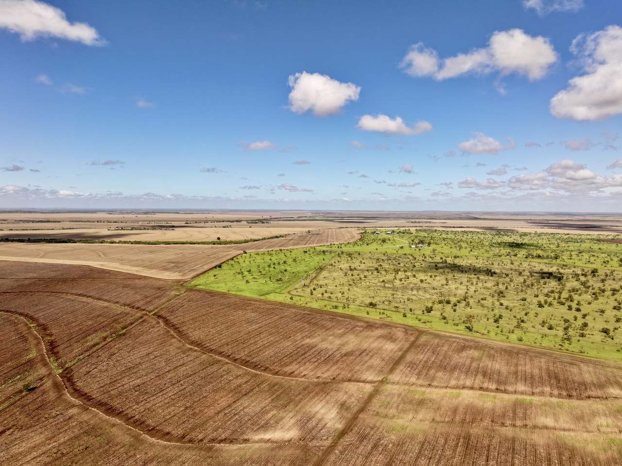 Clermont Auction by Farmbuy.com - image 4