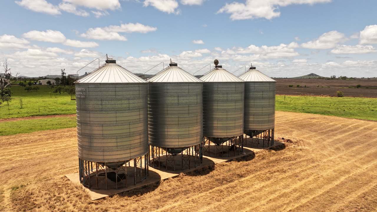 Clermont Auction by Farmbuy.com - image 12