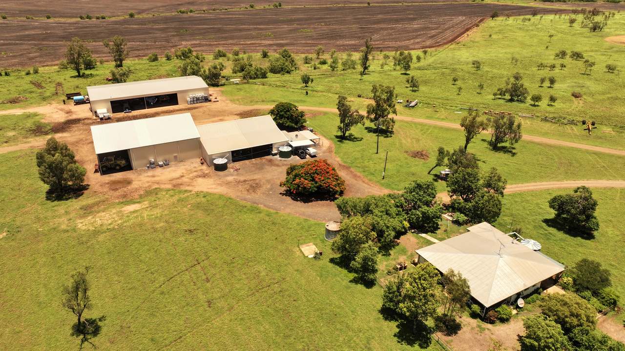 Clermont Auction by Farmbuy.com - image 14