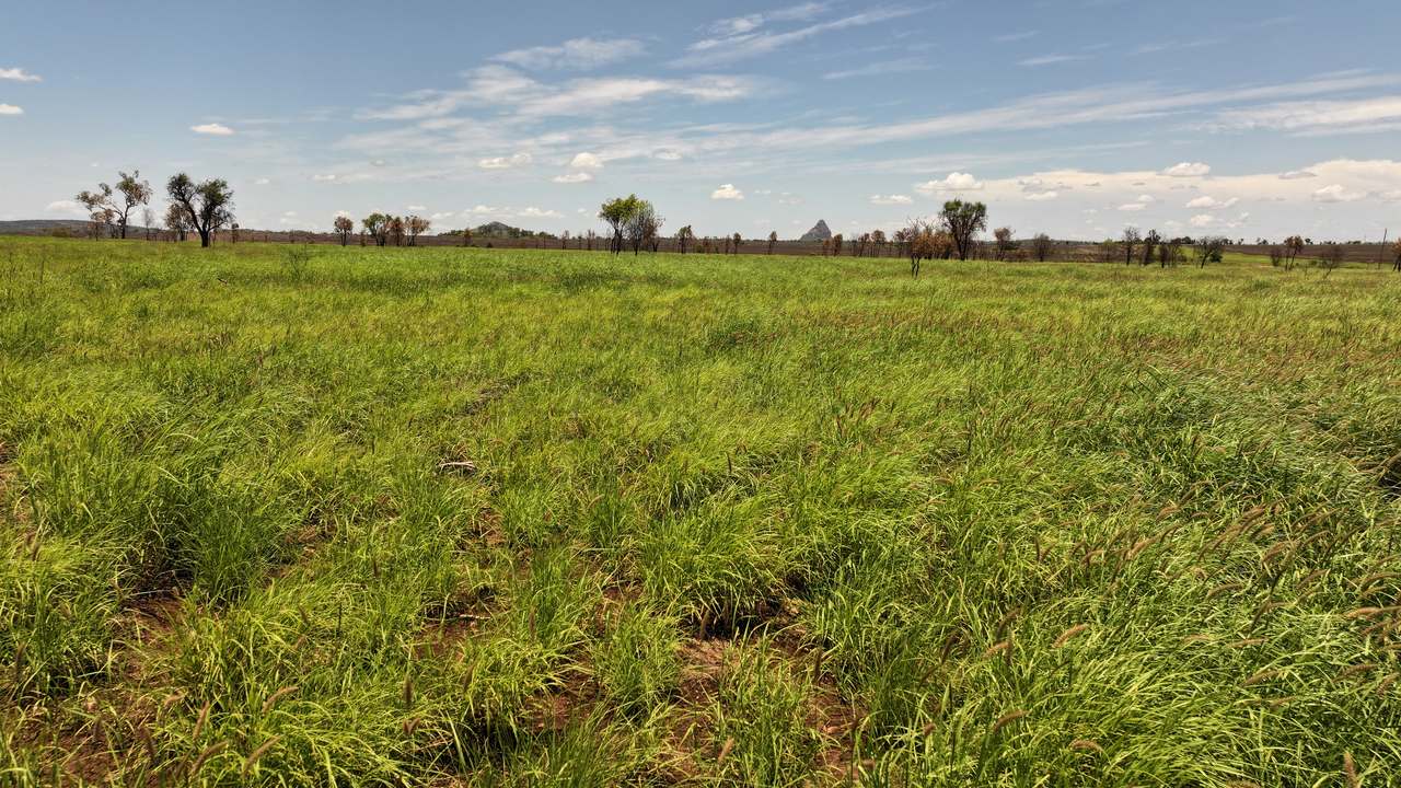 Clermont Auction by Farmbuy.com - image 15