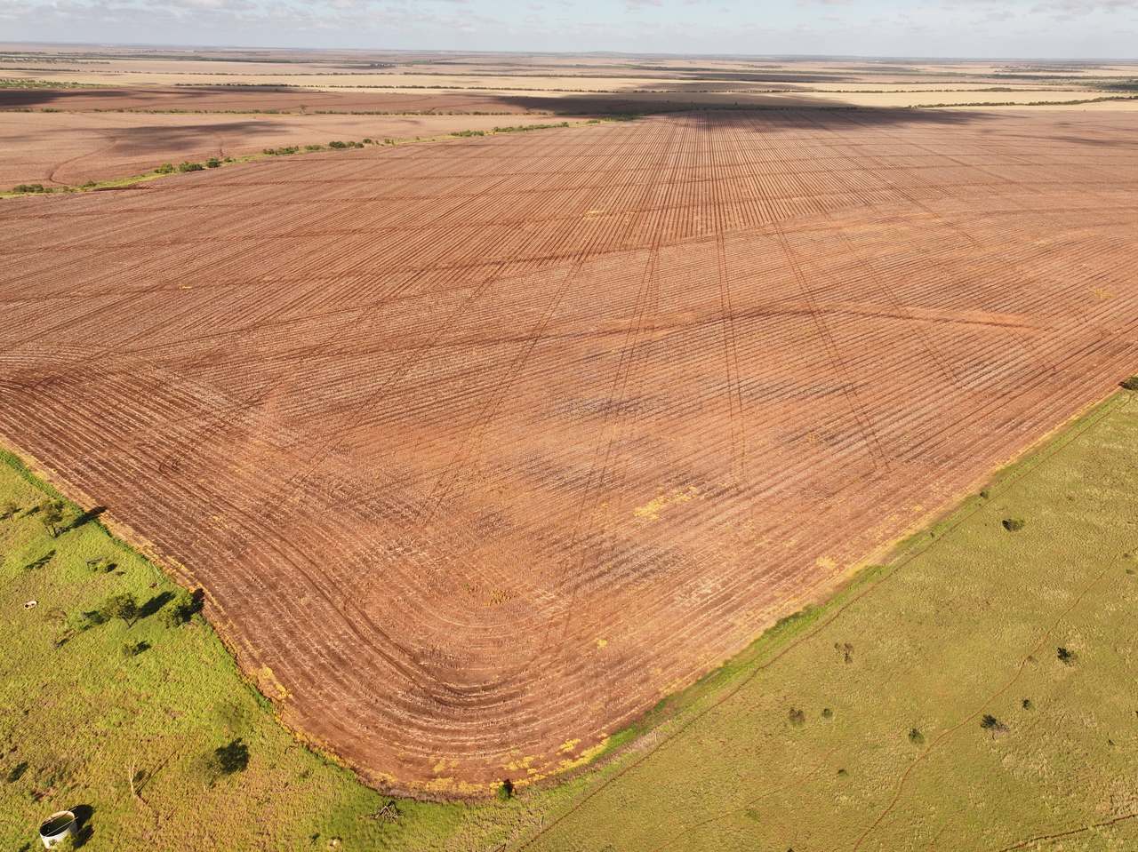 Clermont Auction by Farmbuy.com - image 23