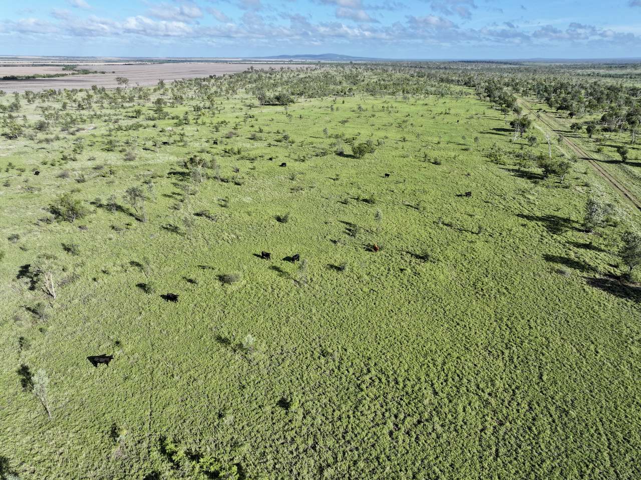 Clermont Auction by Farmbuy.com - image 7