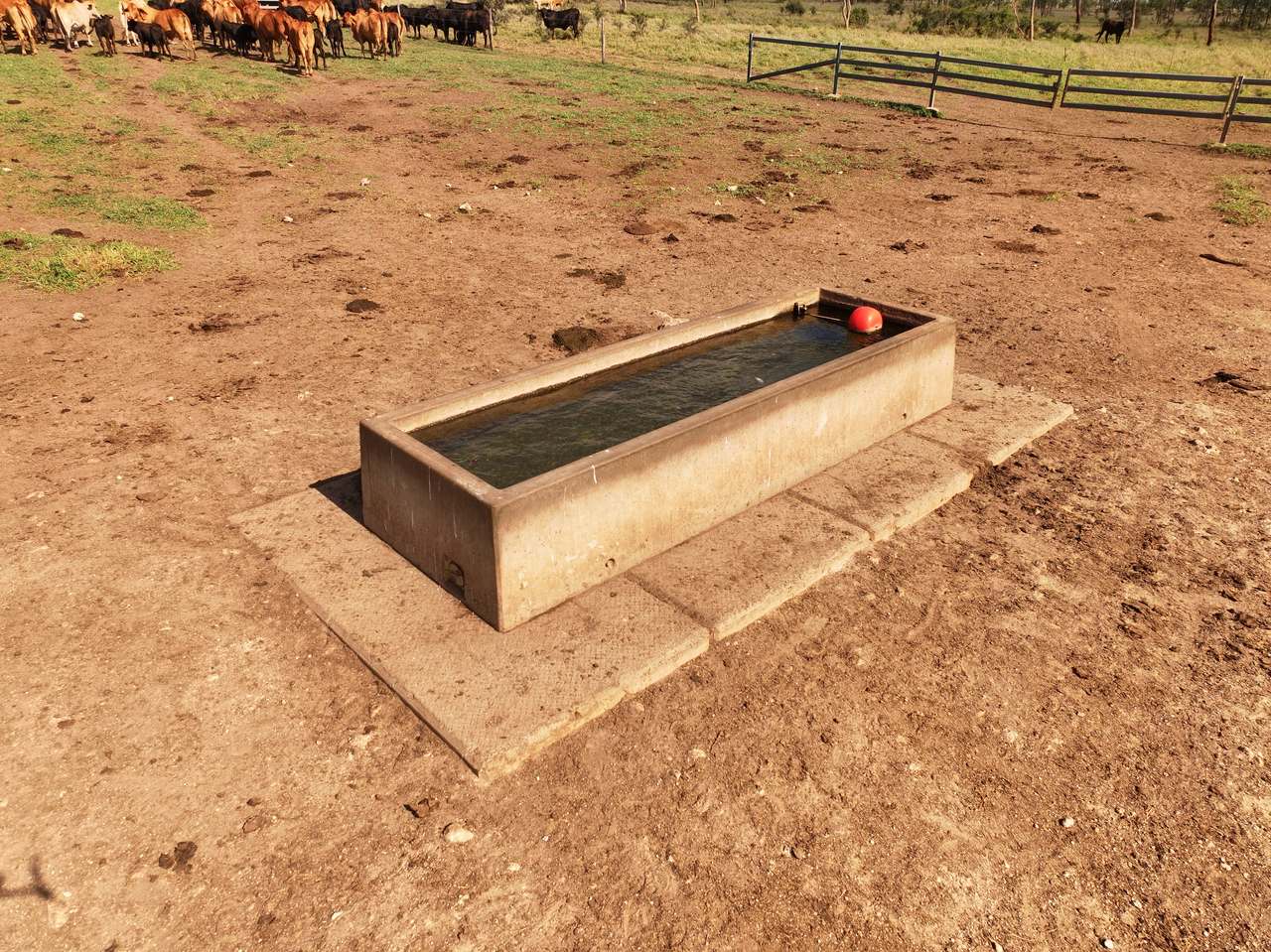 Clermont Auction by Farmbuy.com - image 20