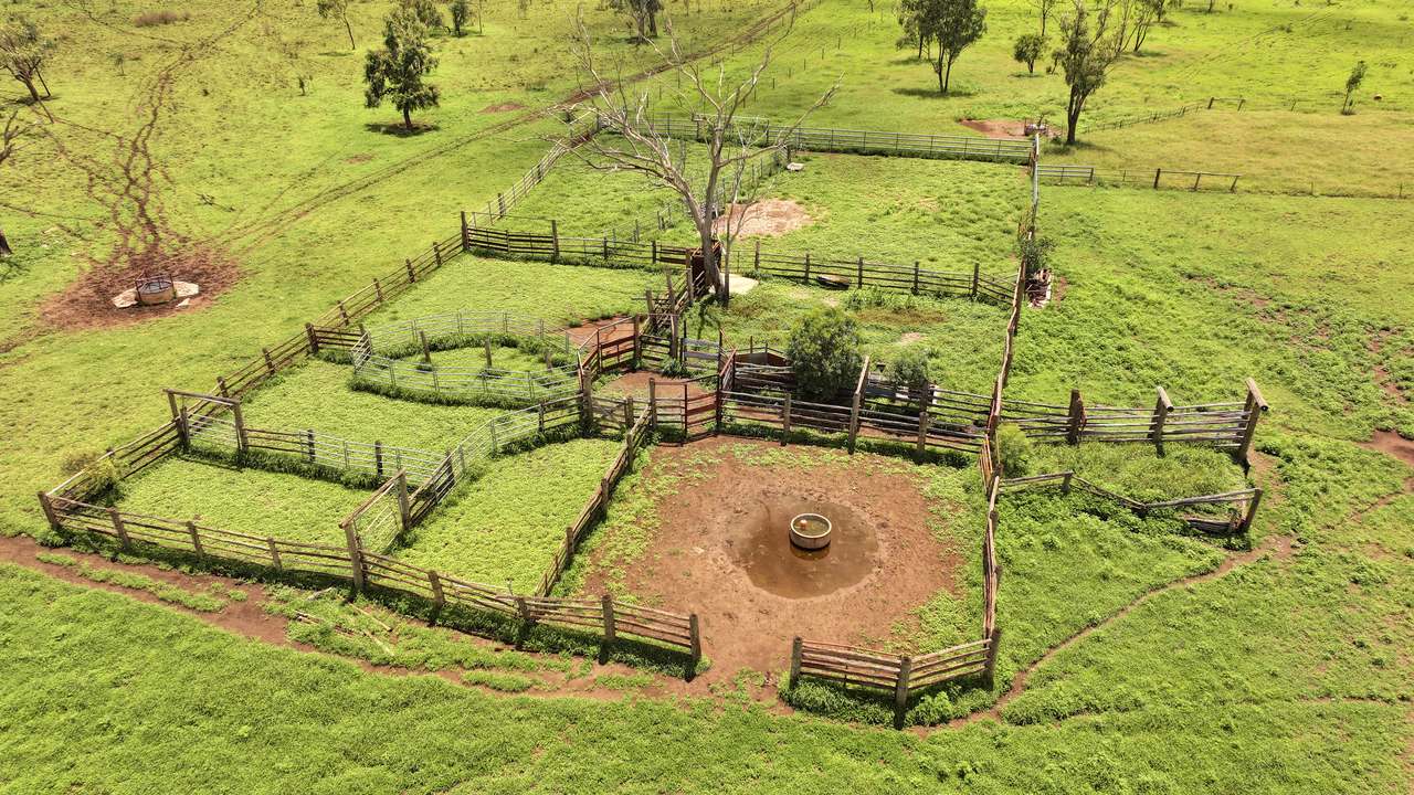 Clermont Auction by Farmbuy.com - image 18