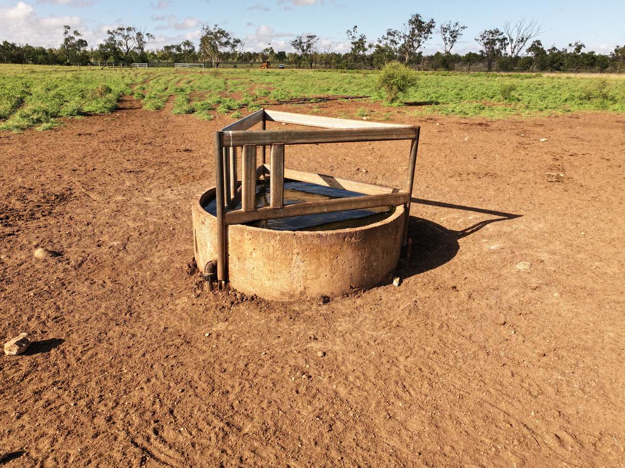 Clermont Auction by Farmbuy.com - image 21