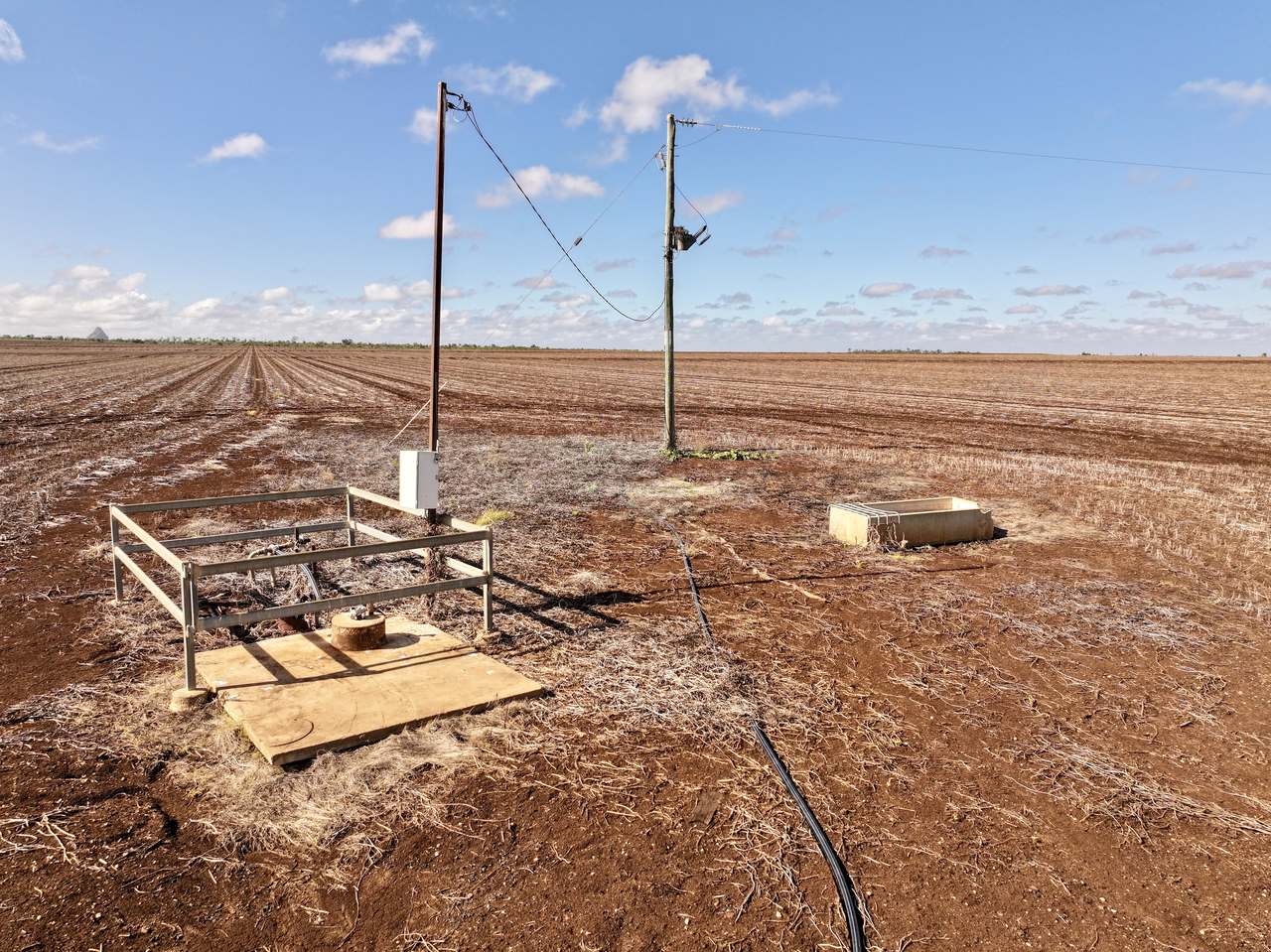 Clermont Auction by Farmbuy.com - image 19