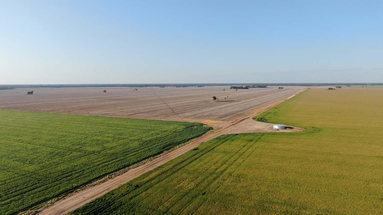 3531 Goodar Road , Goodar  For Sale by Farmbuy.com - image 8