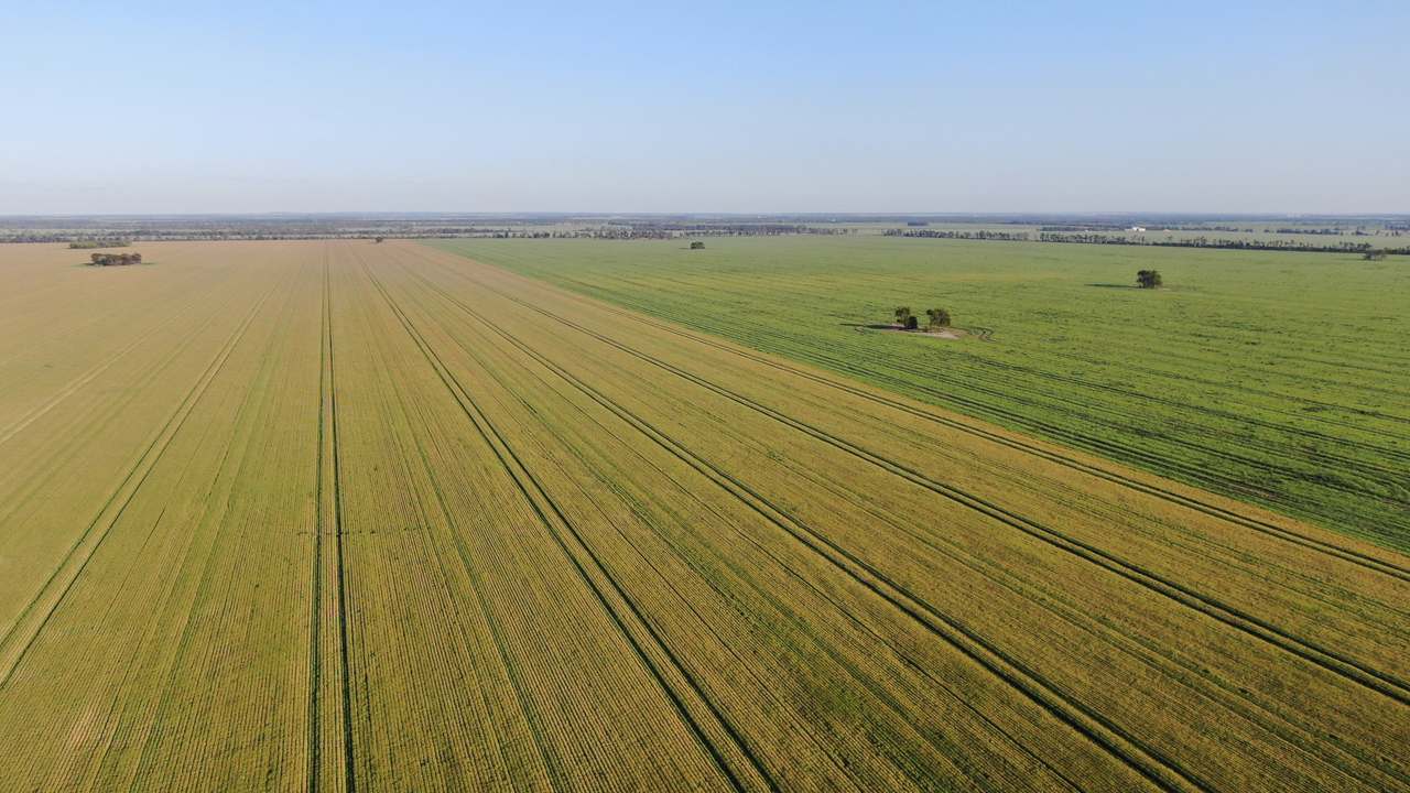 3531 Goodar Road , Goodar  For Sale by Farmbuy.com - image 4