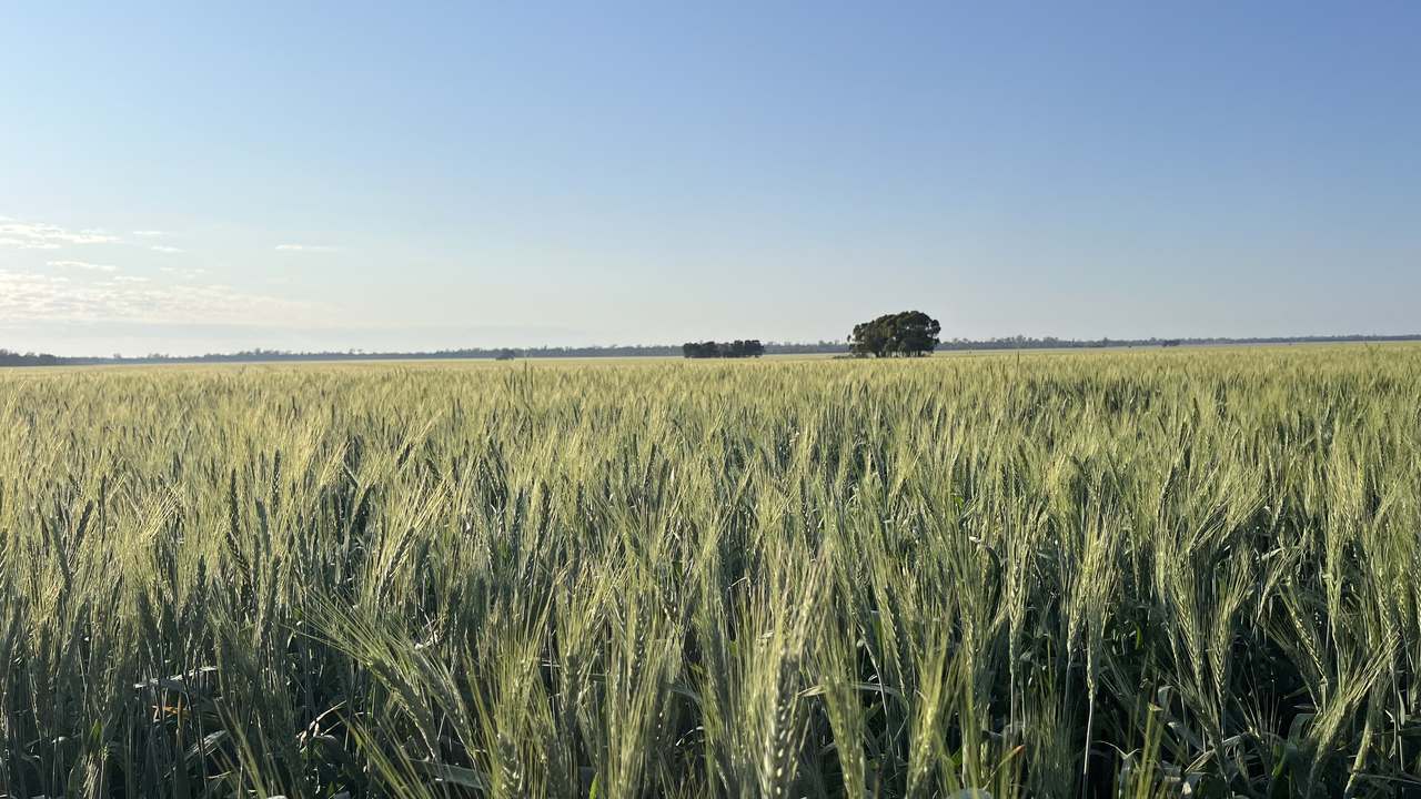 3531 Goodar Road , Goodar  For Sale by Farmbuy.com - image 7