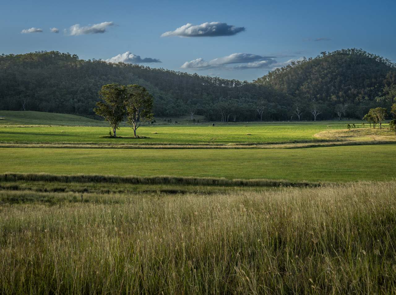 502 Oakfield Road, Tansey For Sale by Farmbuy.com - image 2