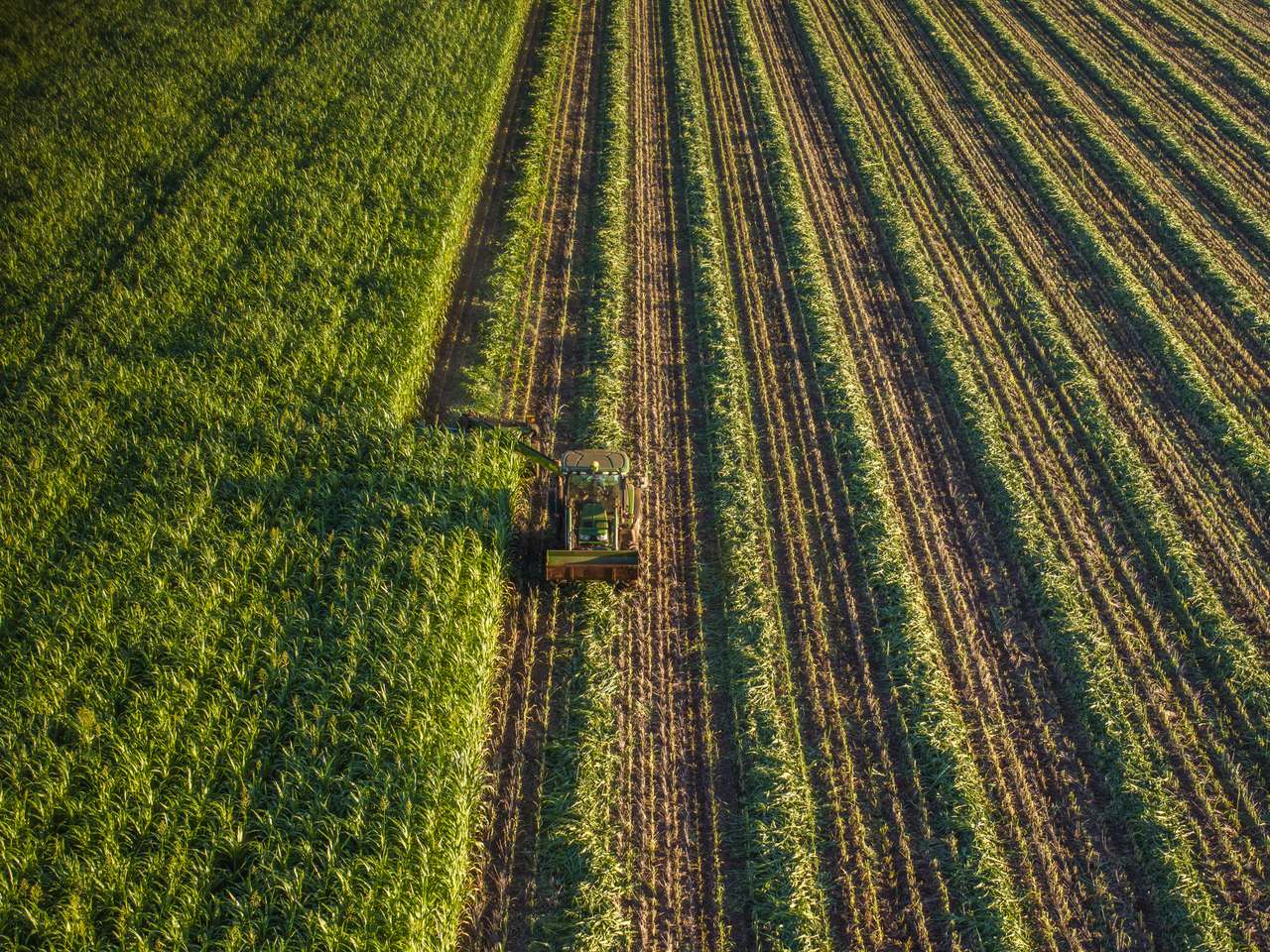 12500 Isis Highway, Coalstoun Lakes For Sale by Farmbuy.com - image 4