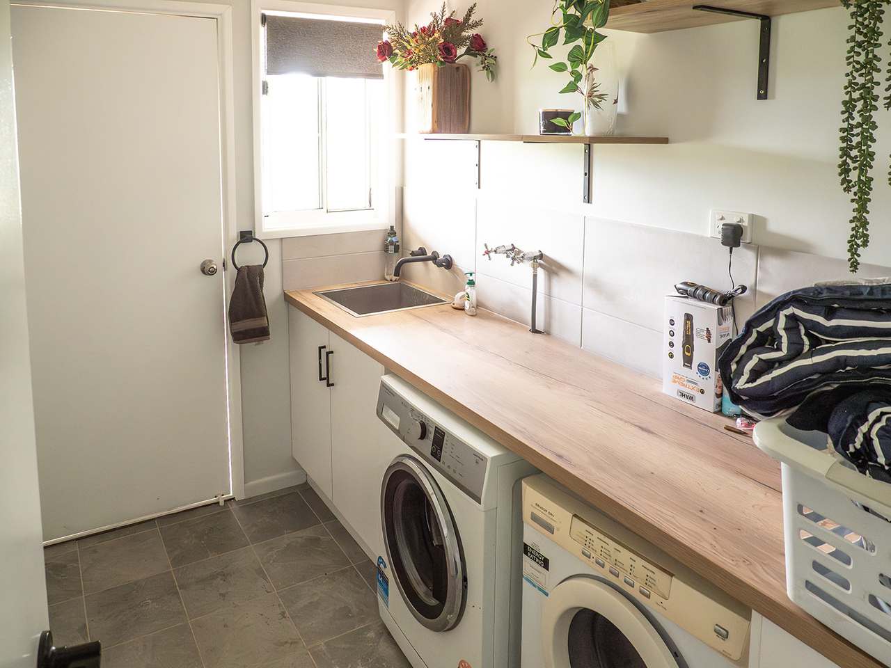 'Telemon', Woolein via Banana Auction by Farmbuy.com - image 20