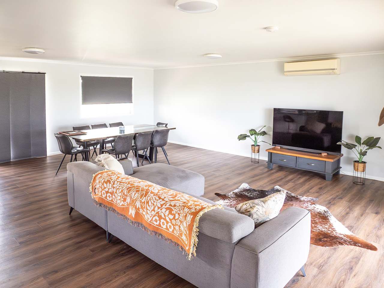 'Telemon', Woolein via Banana Auction by Farmbuy.com - image 17