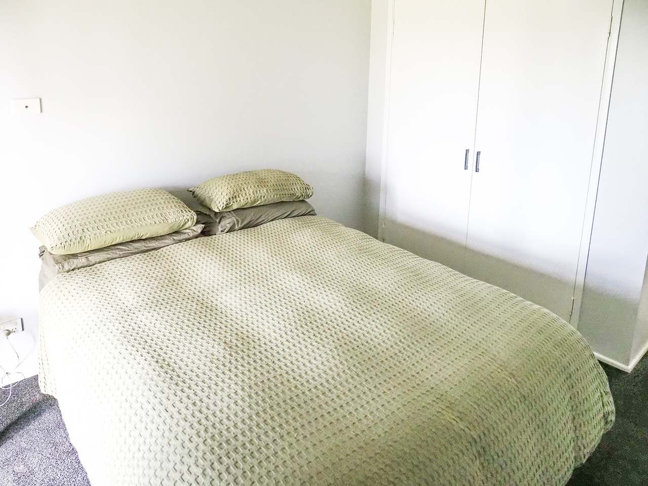 'Telemon', Woolein via Banana Auction by Farmbuy.com - image 24