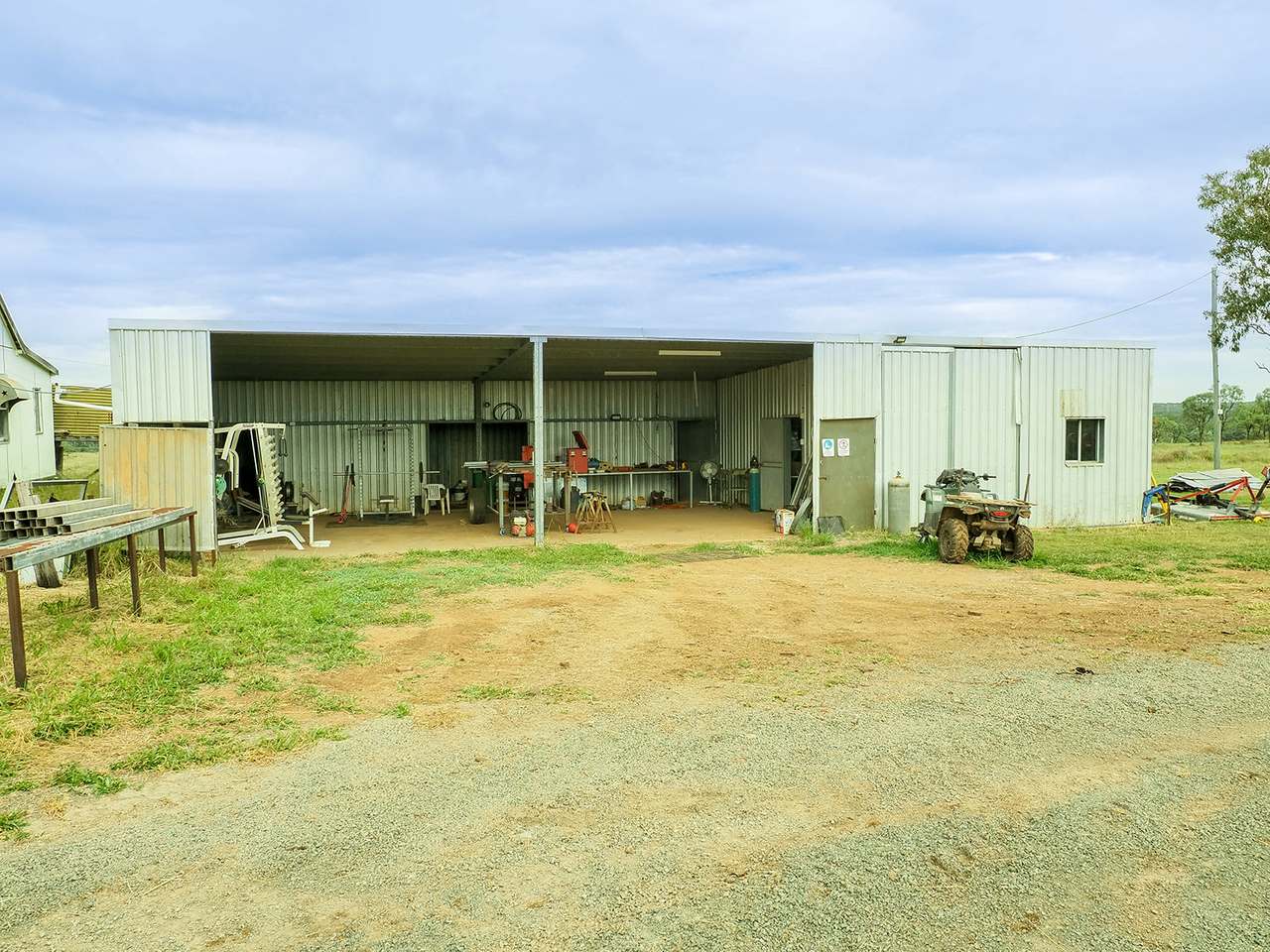 'Telemon', Woolein via Banana Auction by Farmbuy.com - image 14