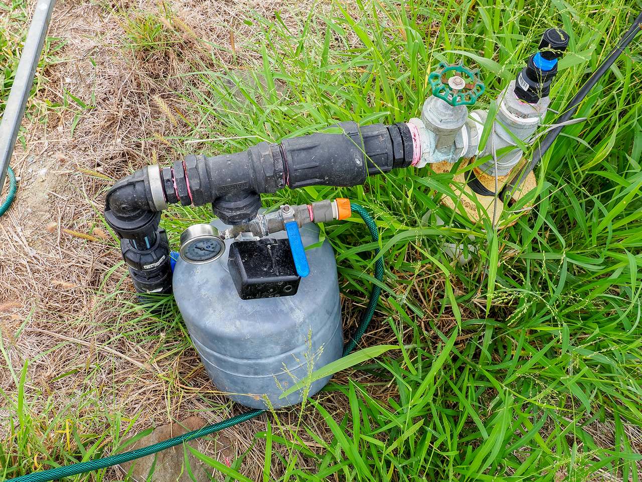 'Telemon', Woolein via Banana Auction by Farmbuy.com - image 11