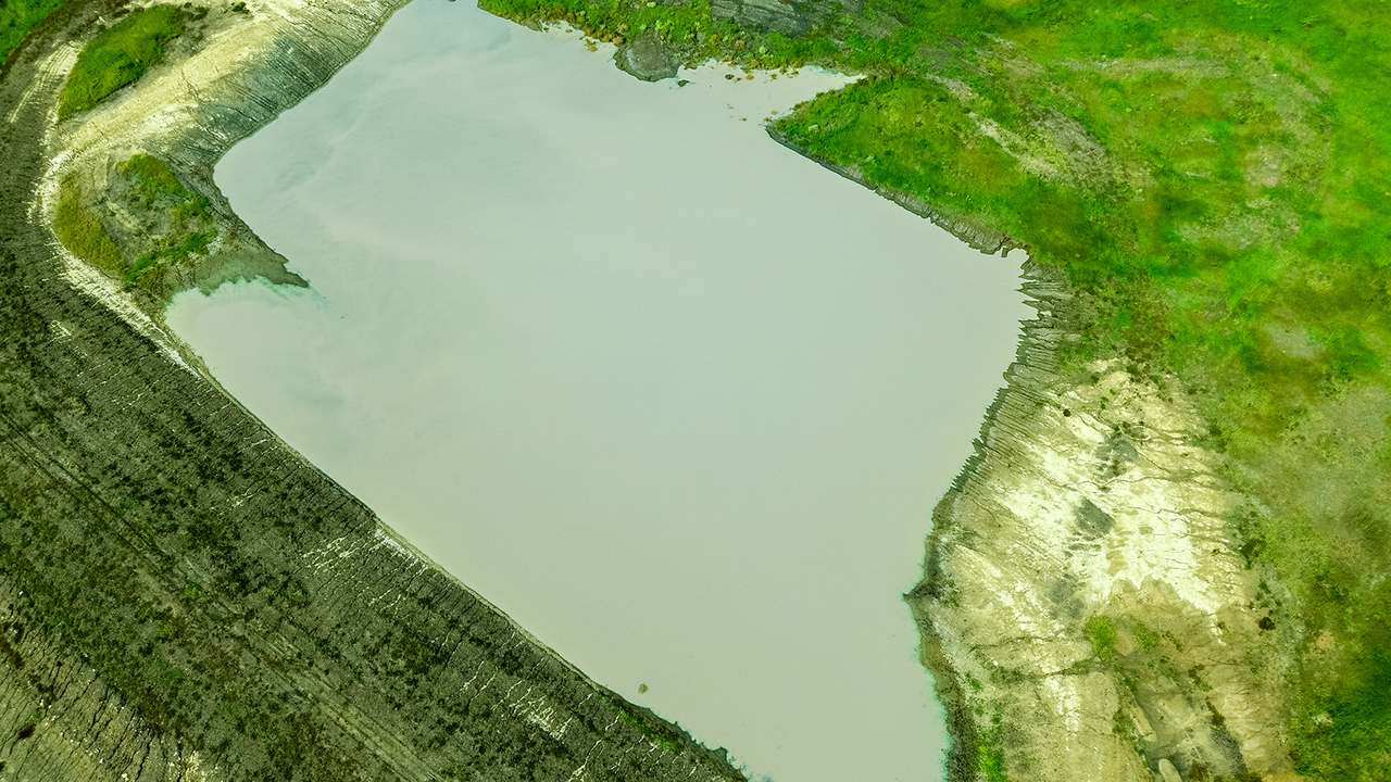 'Telemon', Woolein via Banana Auction by Farmbuy.com - image 70