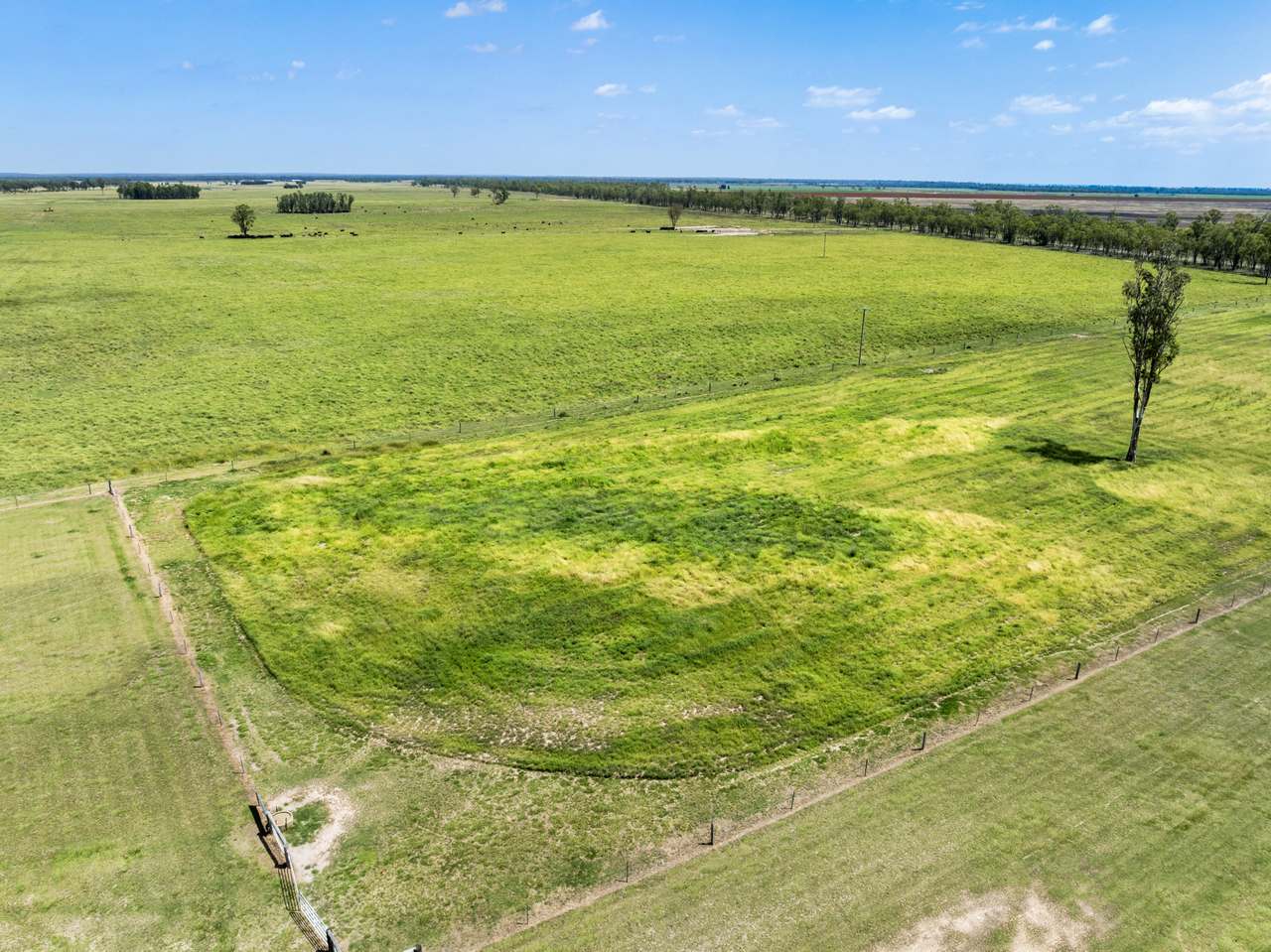 2001 Millmerran Cecil Plains Road, Millmerran Auction by Farmbuy.com - image 6