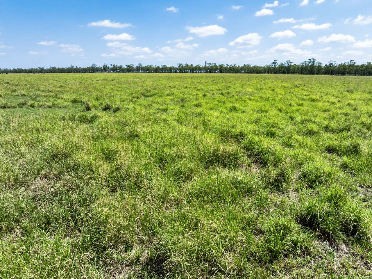 2001 Millmerran Cecil Plains Road, Millmerran Auction by Farmbuy.com - image 5