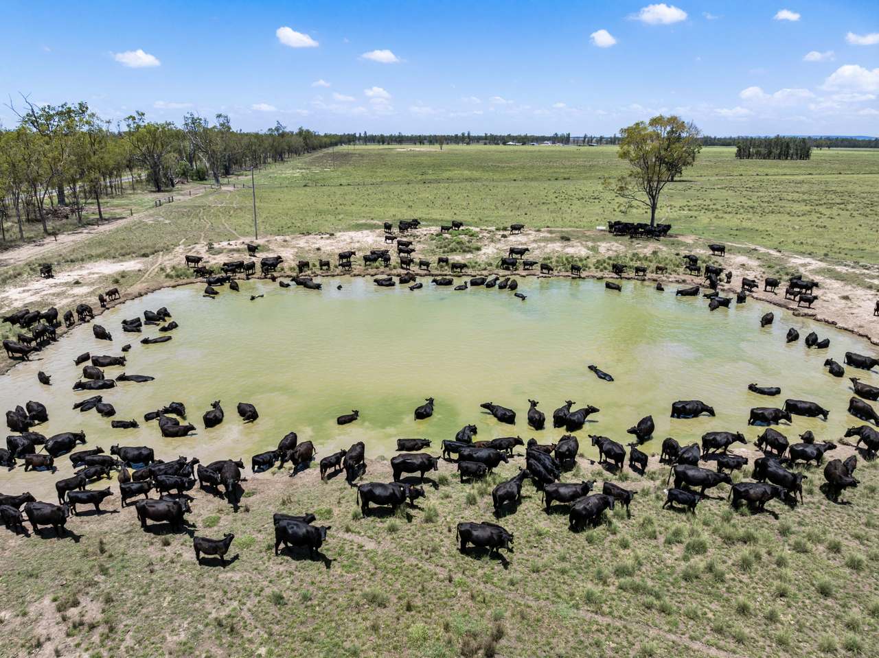 2001 Millmerran Cecil Plains Road, Millmerran Auction by Farmbuy.com - image 27