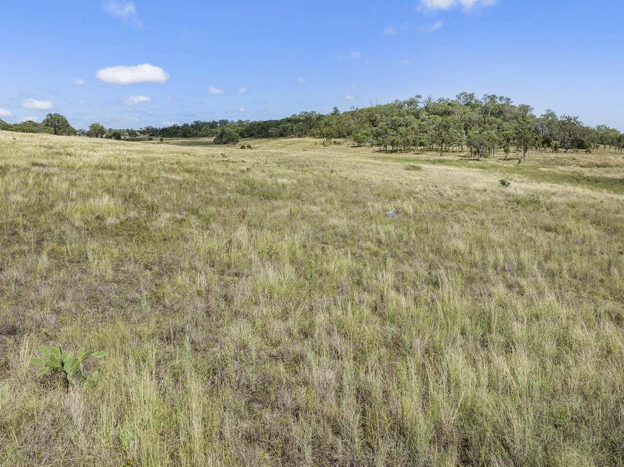 212 Avondale Road, Pittsworth For Sale by Farmbuy.com - image 30