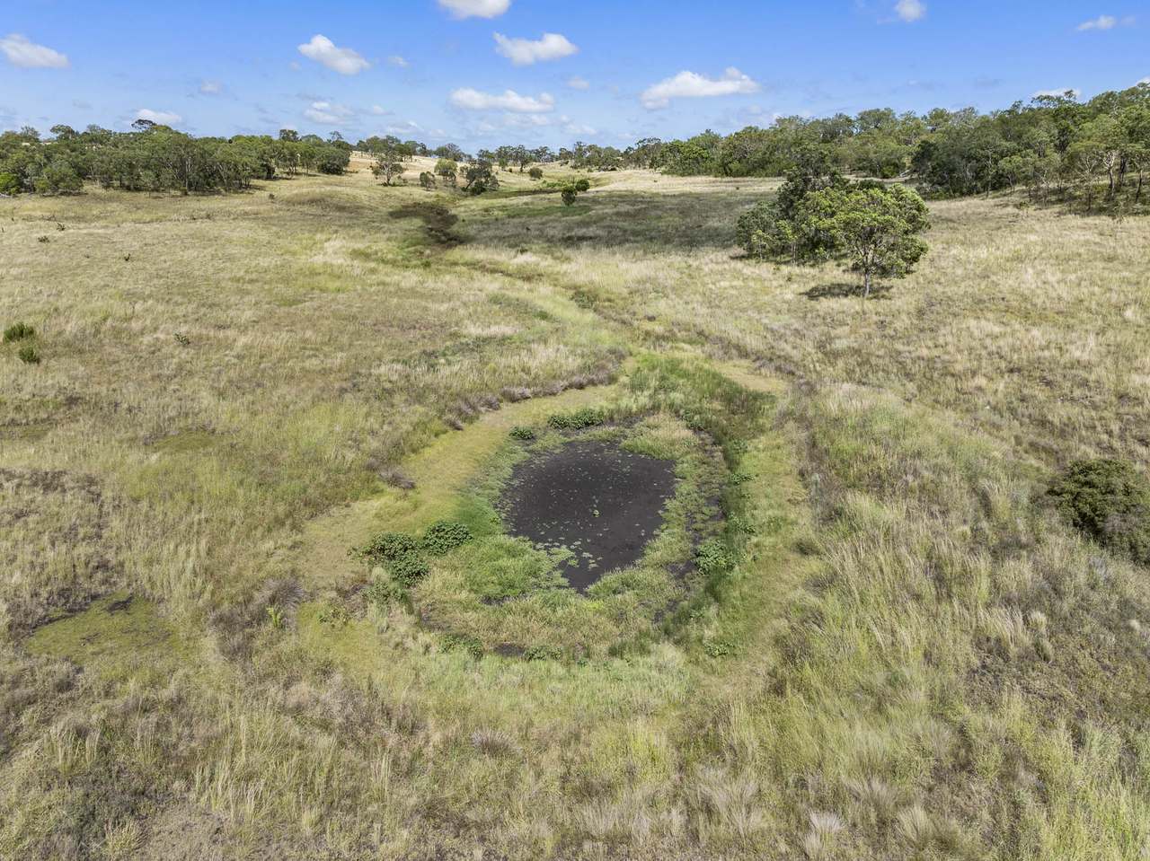 212 Avondale Road, Pittsworth For Sale by Farmbuy.com - image 27