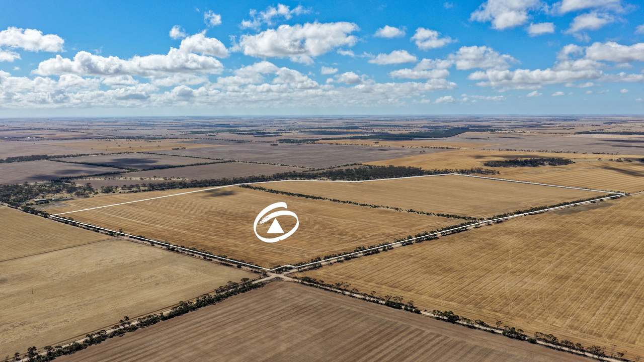 Lot 2/313 Pridham Road, Kainton Auction by Farmbuy.com - image 3