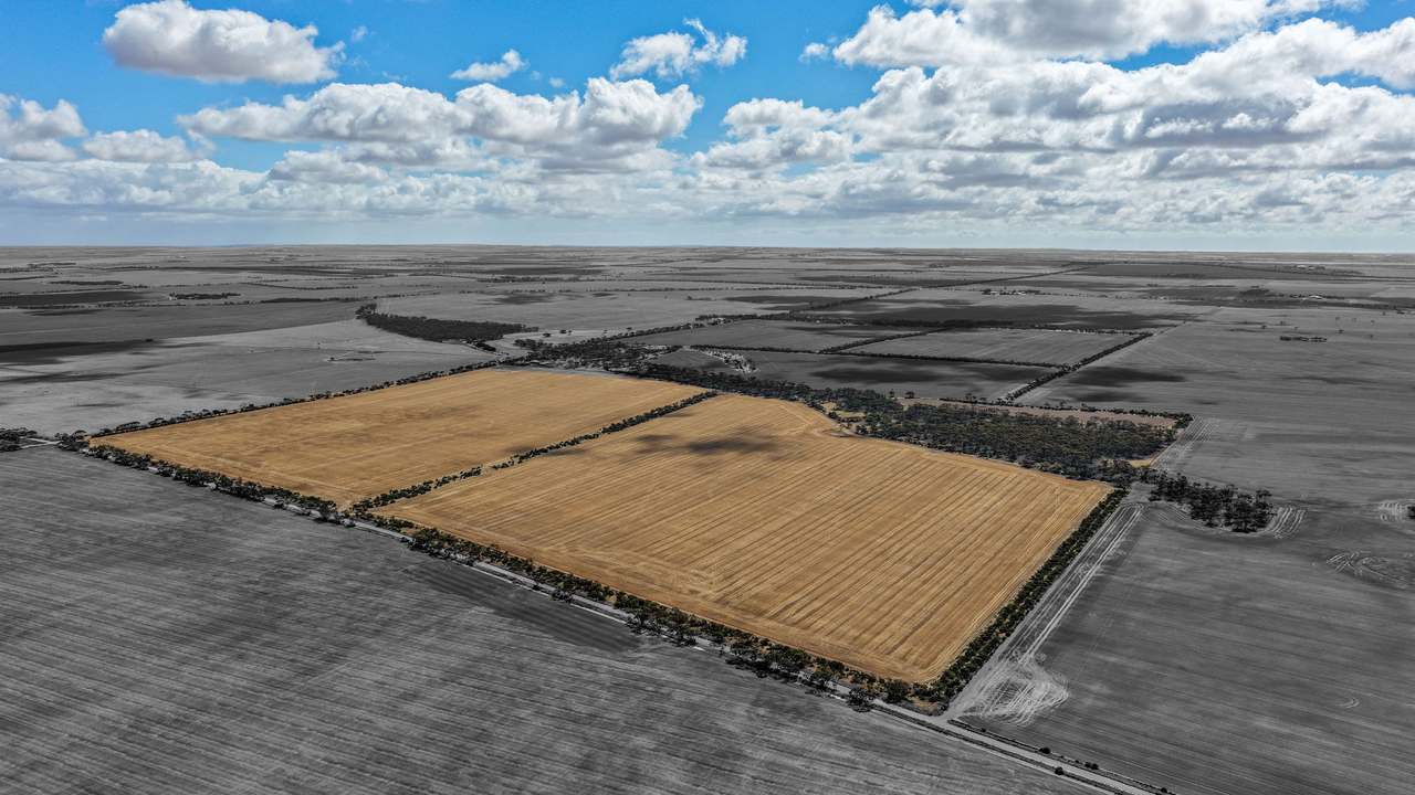 Lot 2/313 Pridham Road, Kainton Auction by Farmbuy.com - image 8