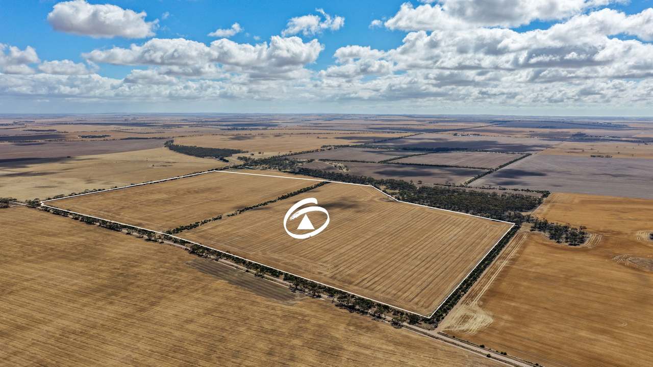 Lot 2/313 Pridham Road, Kainton Auction by Farmbuy.com - image 4