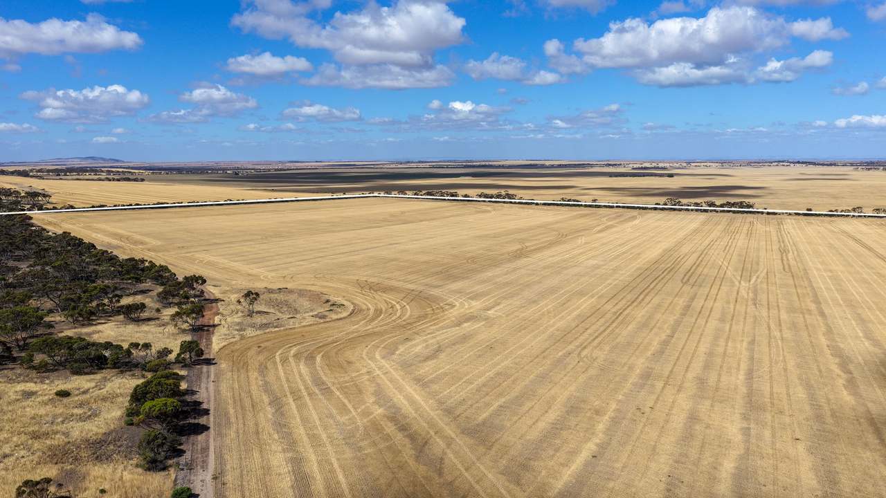 Lot 2/313 Pridham Road, Kainton Auction by Farmbuy.com - image 5