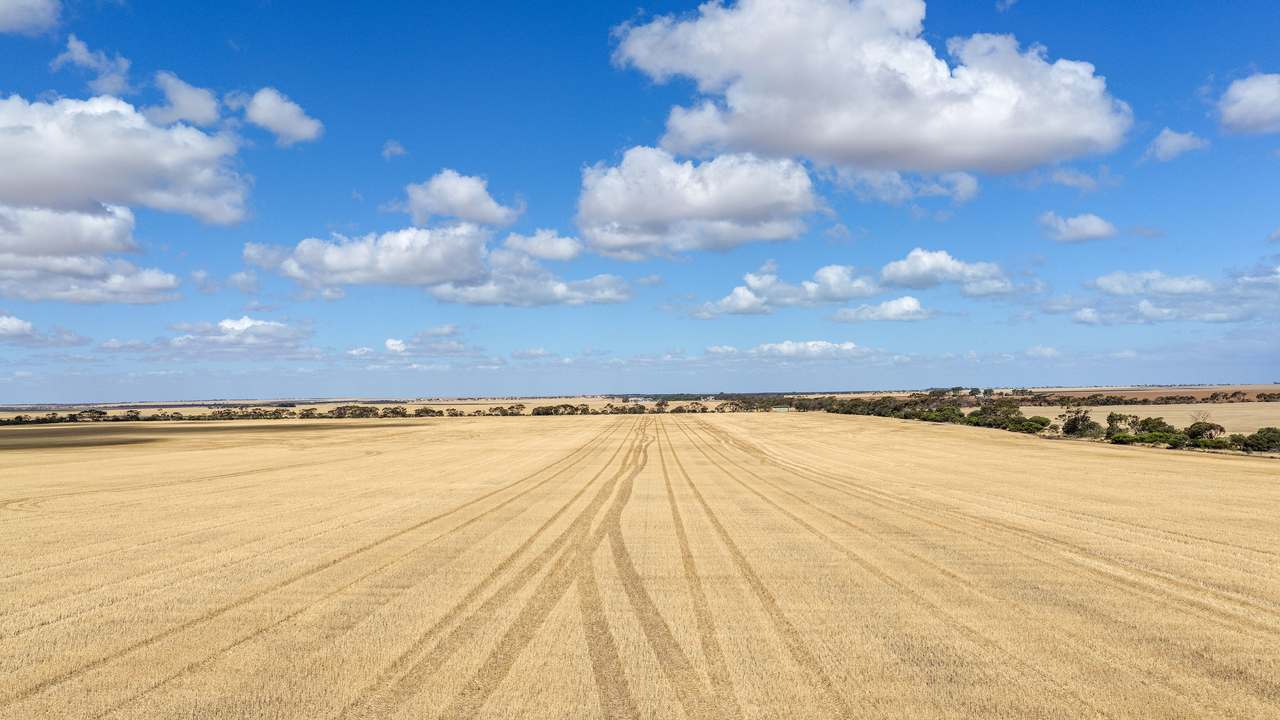 Lot 2/313 Pridham Road, Kainton Auction by Farmbuy.com - image 7