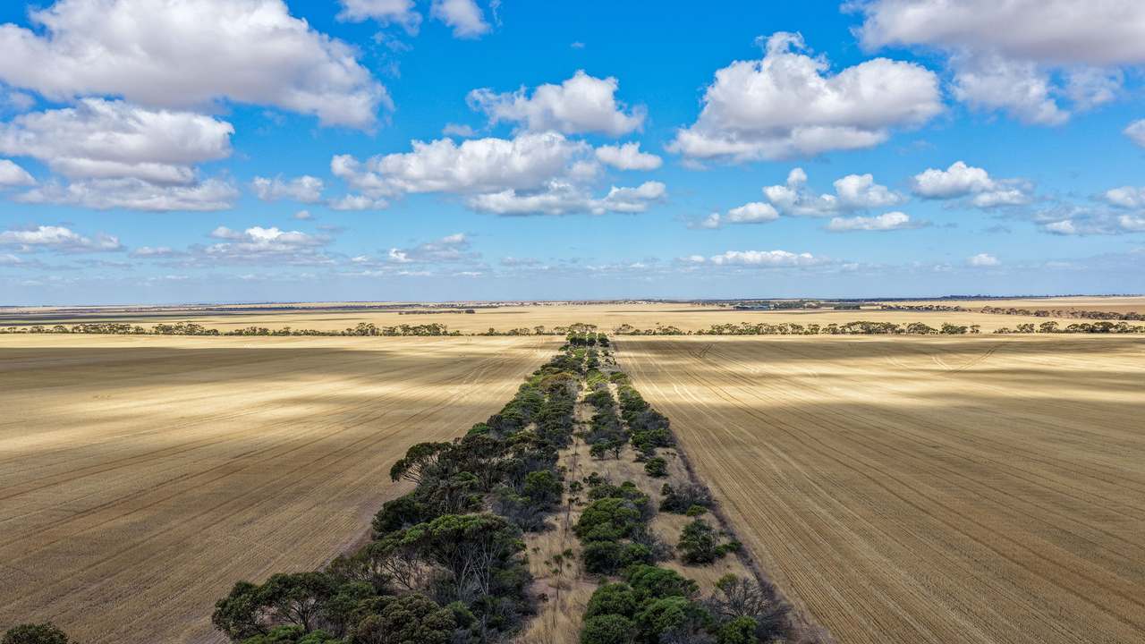 Lot 2/313 Pridham Road, Kainton Auction by Farmbuy.com - image 6