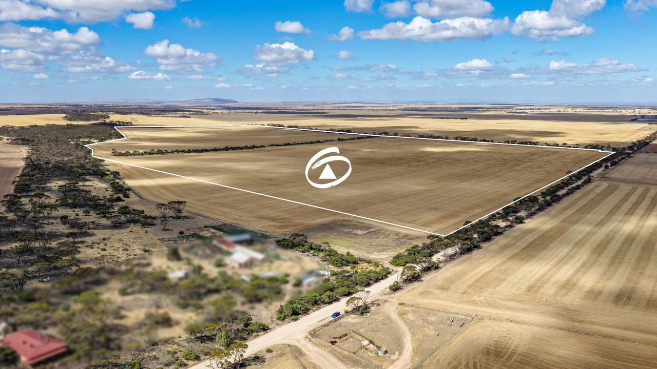 Lot 2/313 Pridham Road, Kainton Auction by Farmbuy.com - image 1