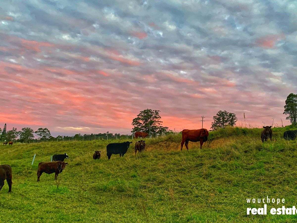 1024 Pappinbarra Road, Pappinbarra For Sale by Farmbuy.com - image 32