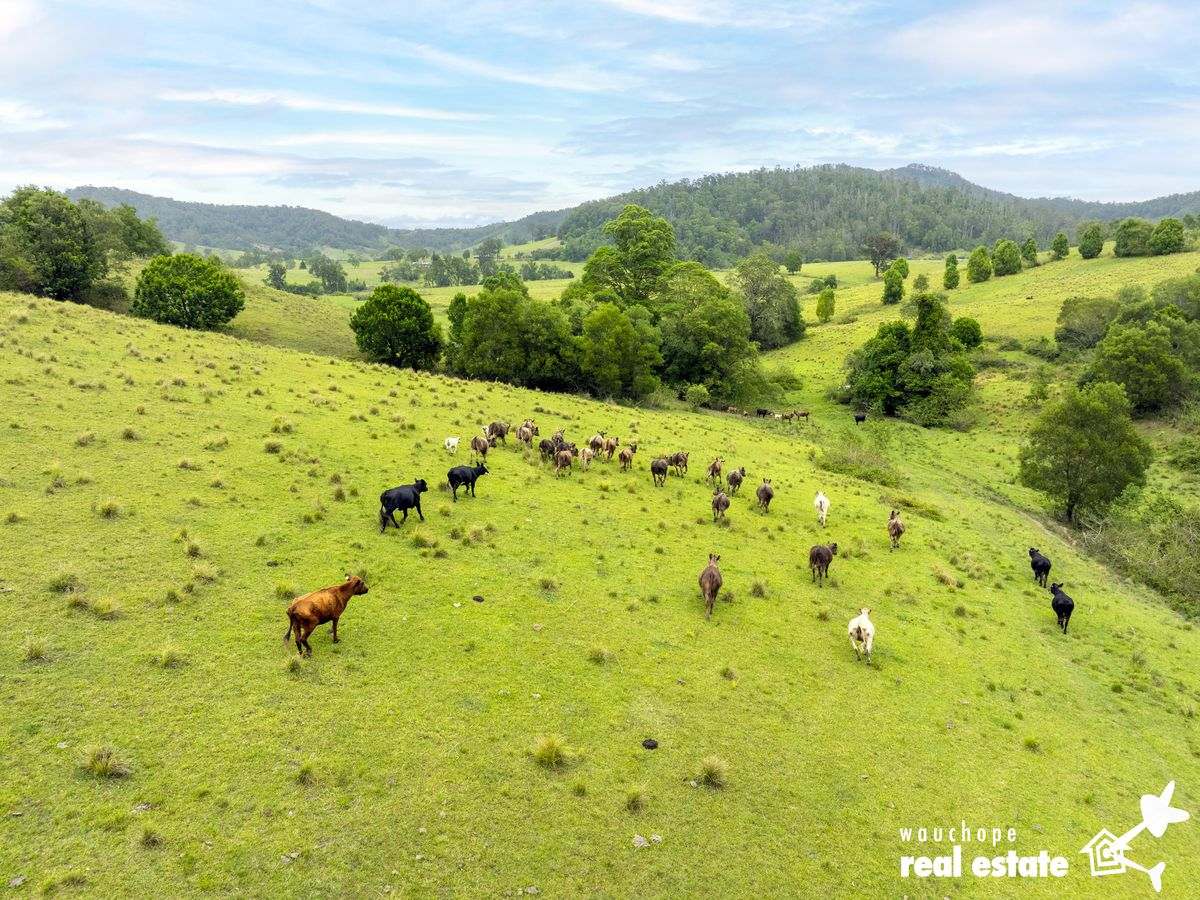 1024 Pappinbarra Road, Pappinbarra For Sale by Farmbuy.com - image 27