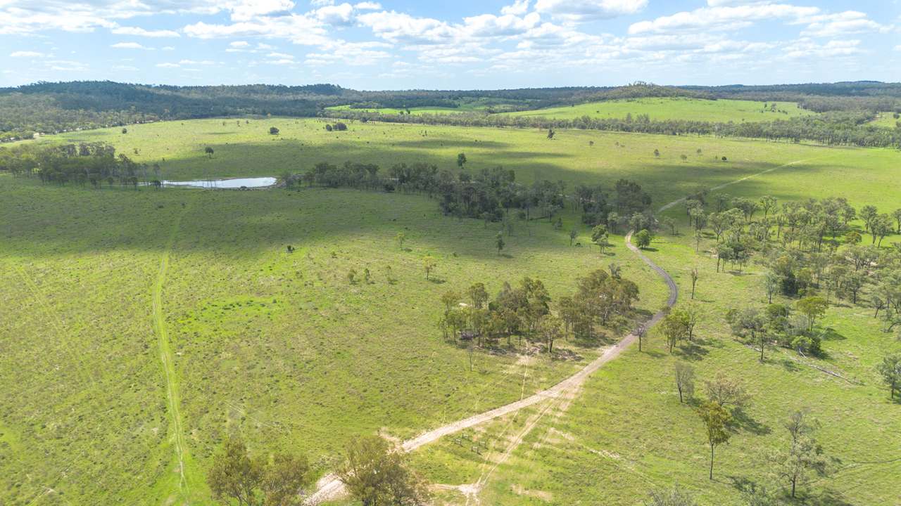 'Blady Grass', Taroom Auction by Farmbuy.com - image 38