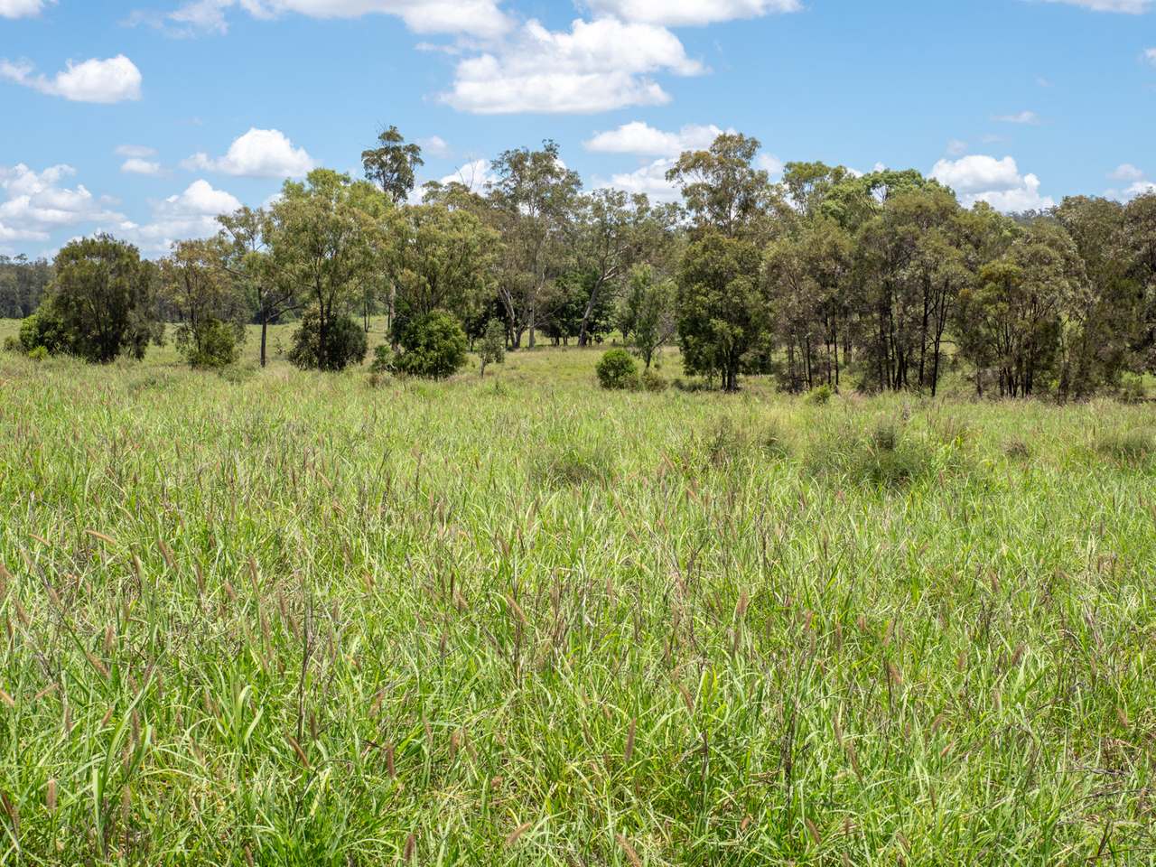 'Blady Grass', Taroom Auction by Farmbuy.com - image 23