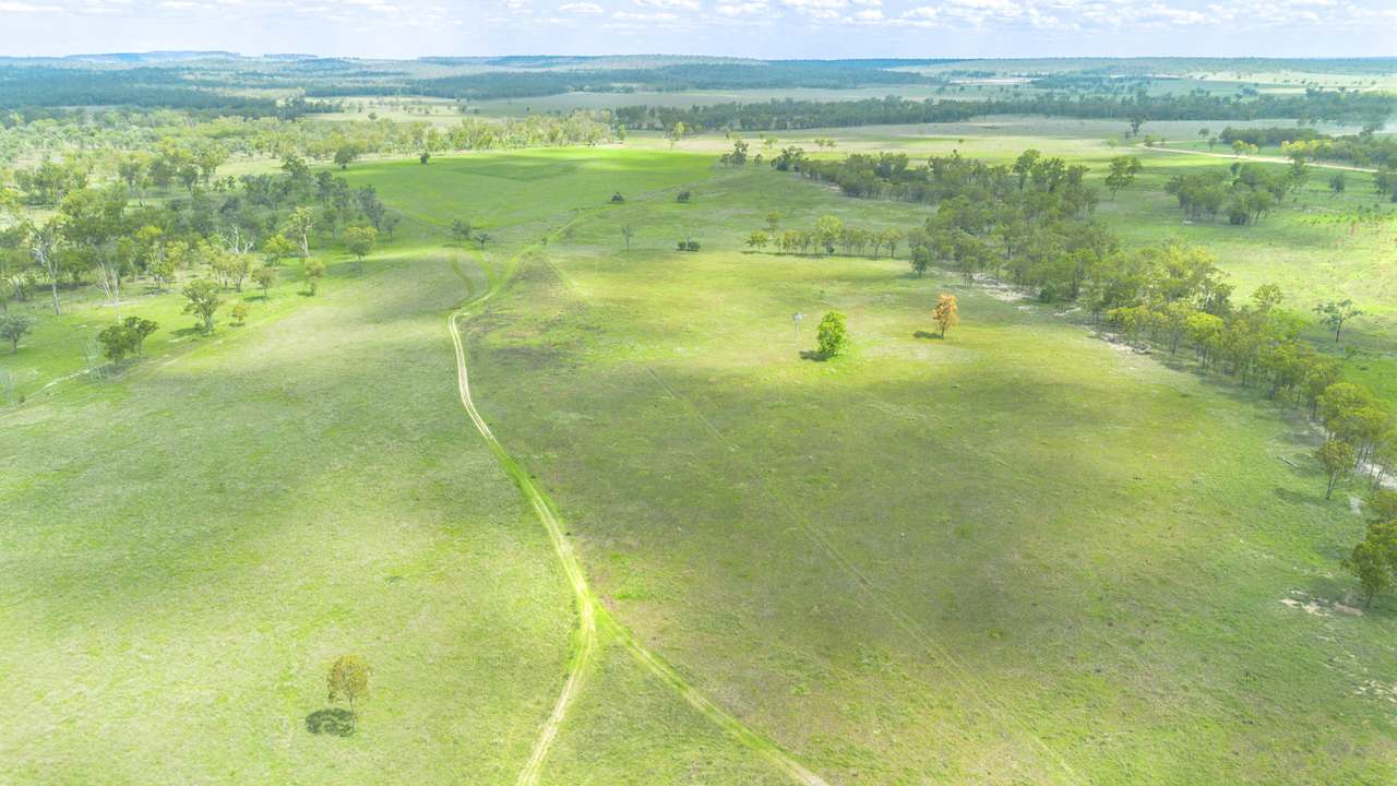 'Blady Grass', Taroom Auction by Farmbuy.com - image 40