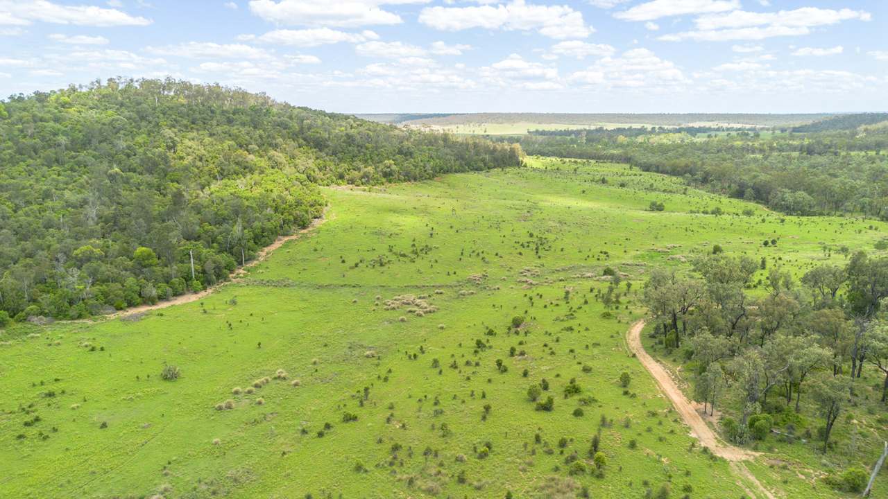 'Blady Grass', Taroom Auction by Farmbuy.com - image 60