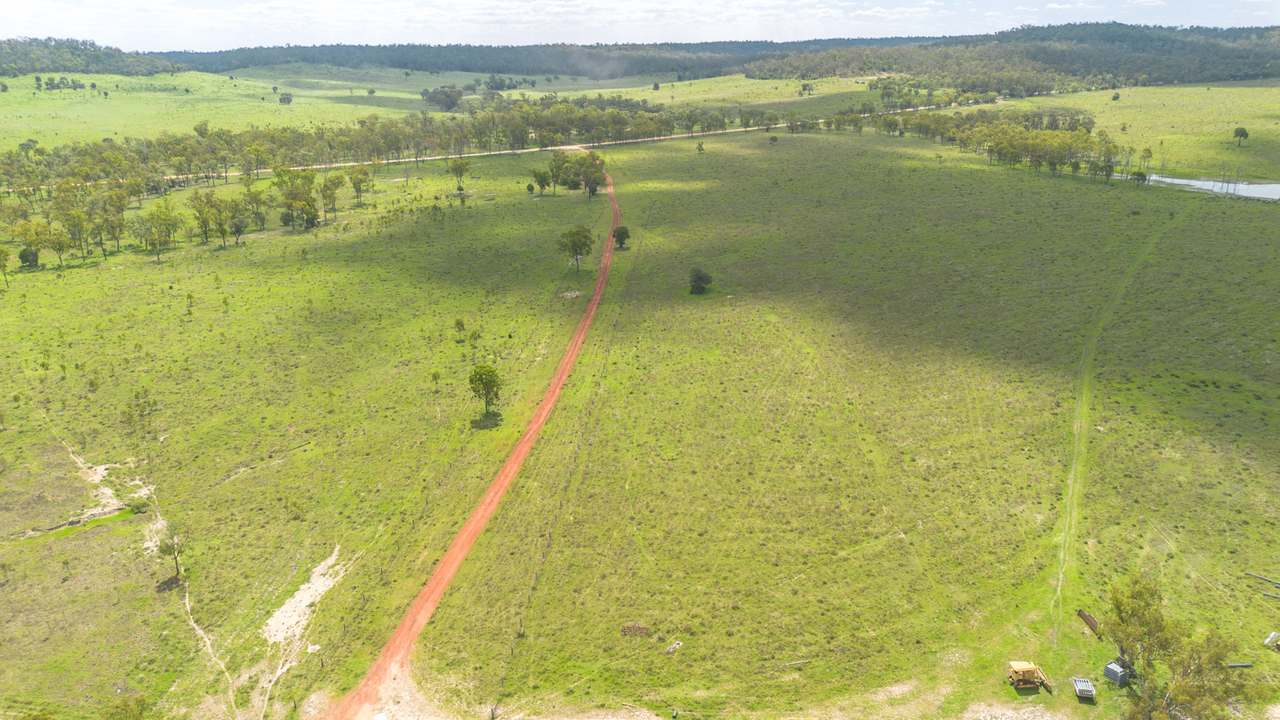 'Blady Grass', Taroom Auction by Farmbuy.com - image 57