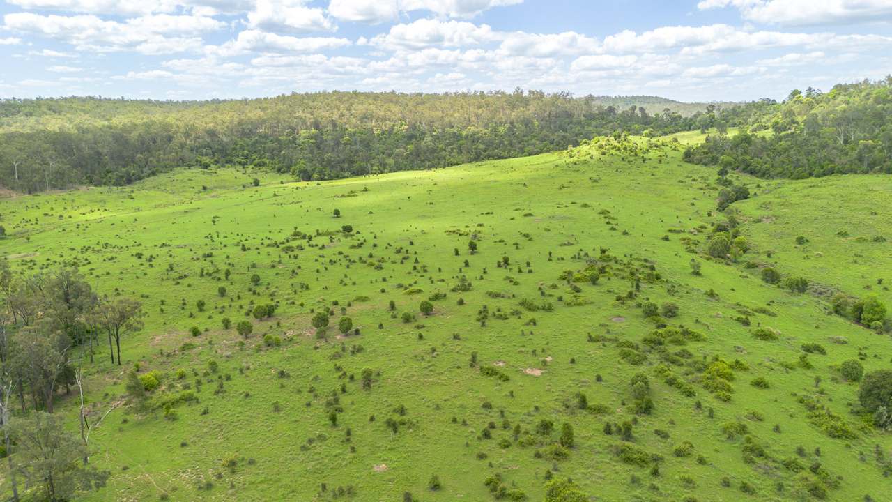 'Blady Grass', Taroom Auction by Farmbuy.com - image 33